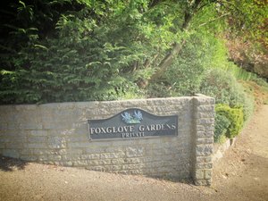 FURZE+HILL+&+FOXGLOVE+GARDENS
